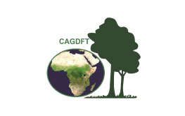 CAGDFT