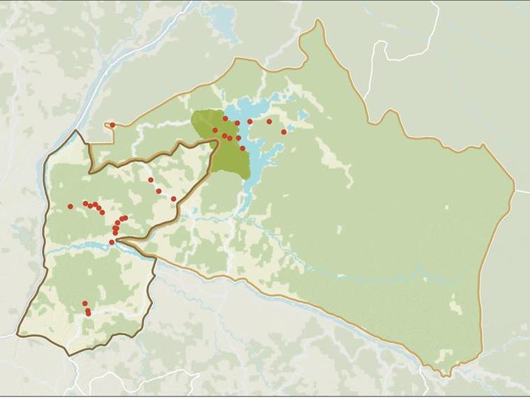 DRC's Mai-Ndombe Carbon Programme: A Seven-Year Wait, and a Programme Its Own Evaluators Doubt