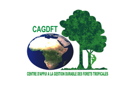 CAGDFT