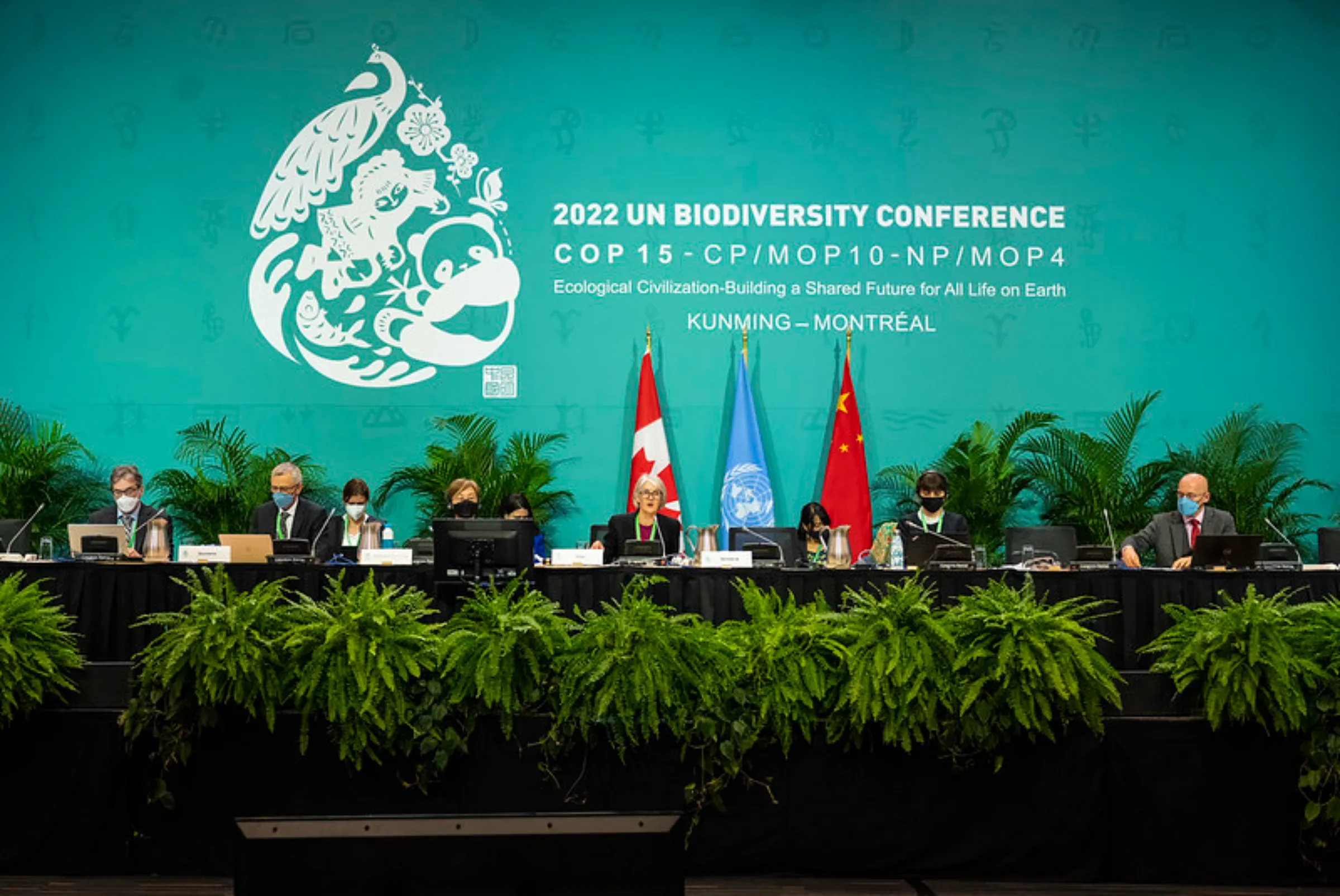 Nuevo Marco Global para la Biodiversidad: una oportunidad perdida para ...