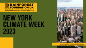 thumbnail of New York Climate Week (2)