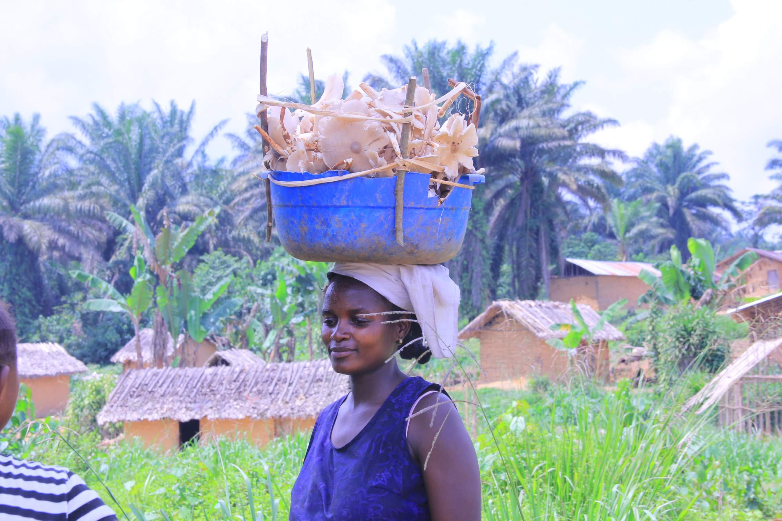 FEMME RENTRANT AVEC DU CHAMPIGNON SAUVAGE RAMASSE A BANDULU_ SECTEUR DES BAPERE_ LE 14 JUILLET 2022