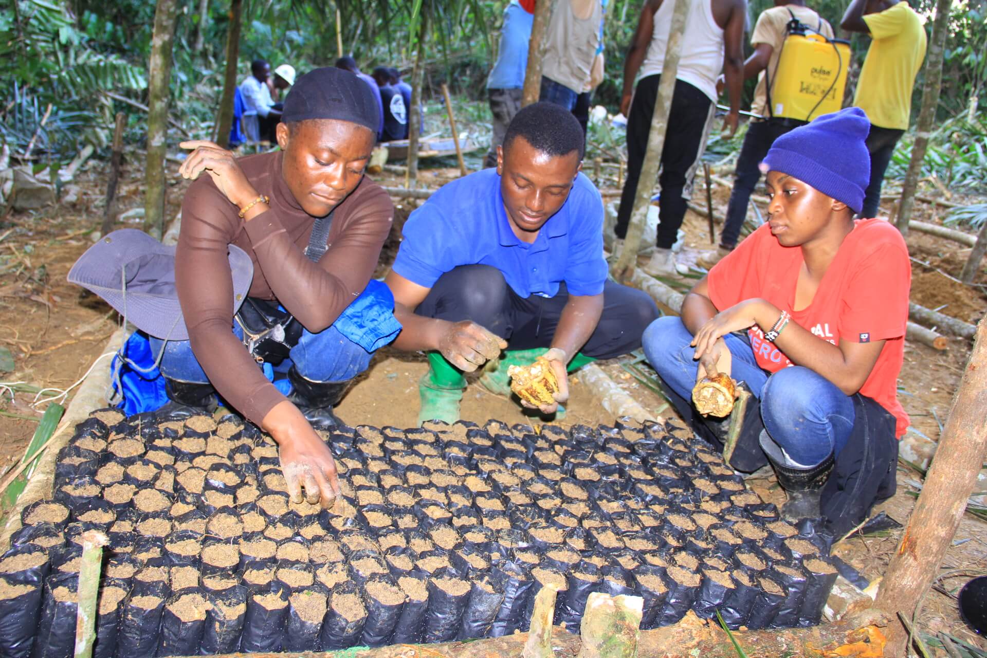 INSTALLATION PEPINIERE UTIYABA