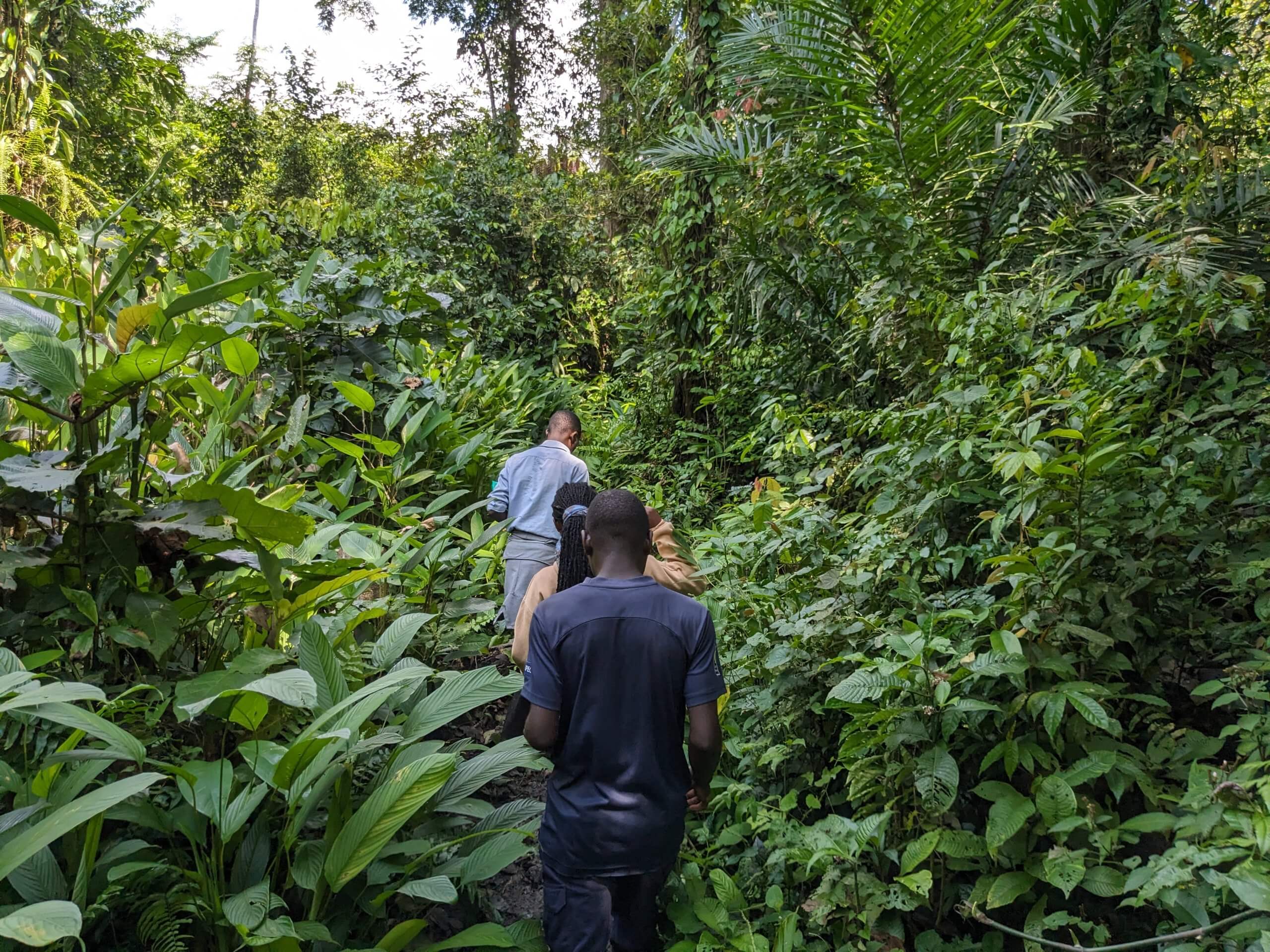 Bamasobha community members patrol their forest.