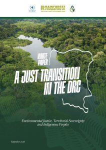 thumbnail of A_JUST_TRANSITION_IN_THE_DRC_2_940de3a596