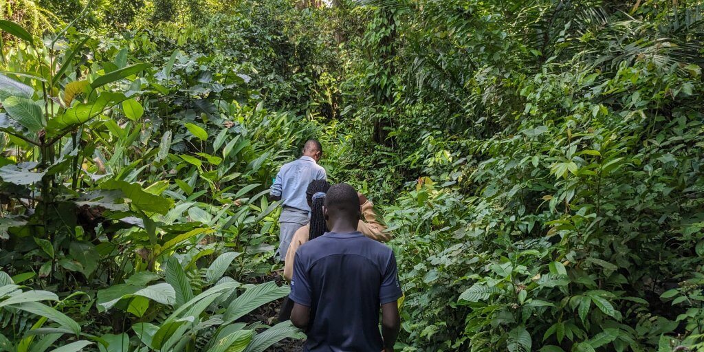 Des membres de la communauté de Bamasobha patrouillent dans leur forêt.