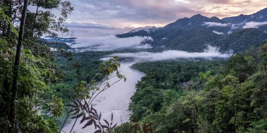 Landcsape of the Ecuador Amazon-Rainforest