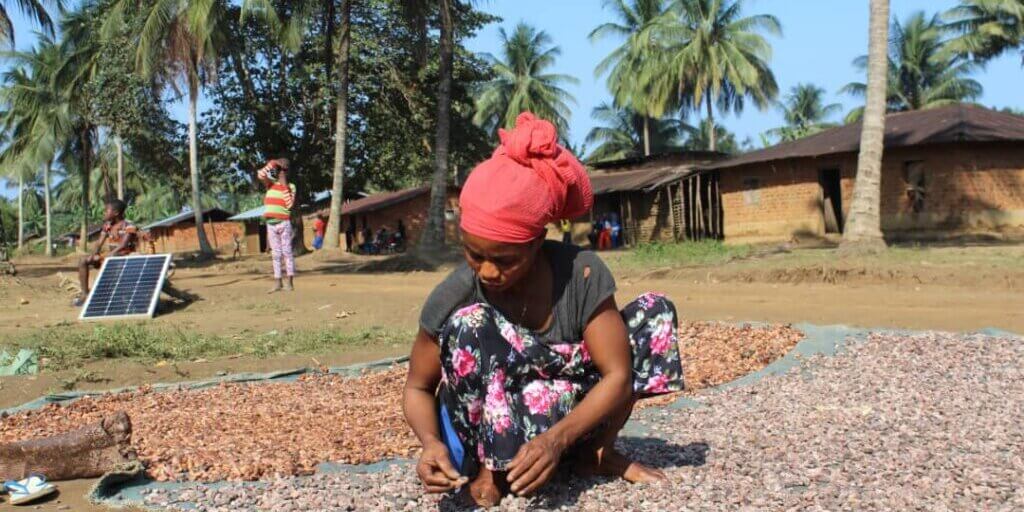 Women working on the Cocoa in Mibenga
